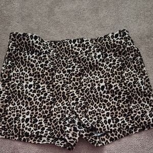 New York & Company Leopard Print High Waist Shorts - Brown & Black